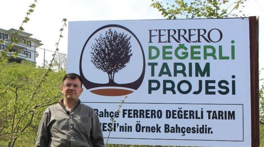 Yeşil Kokarca Fındıkta Randımanı Ve Kaliteyi D&uuml;ş&uuml;r&uuml;yor