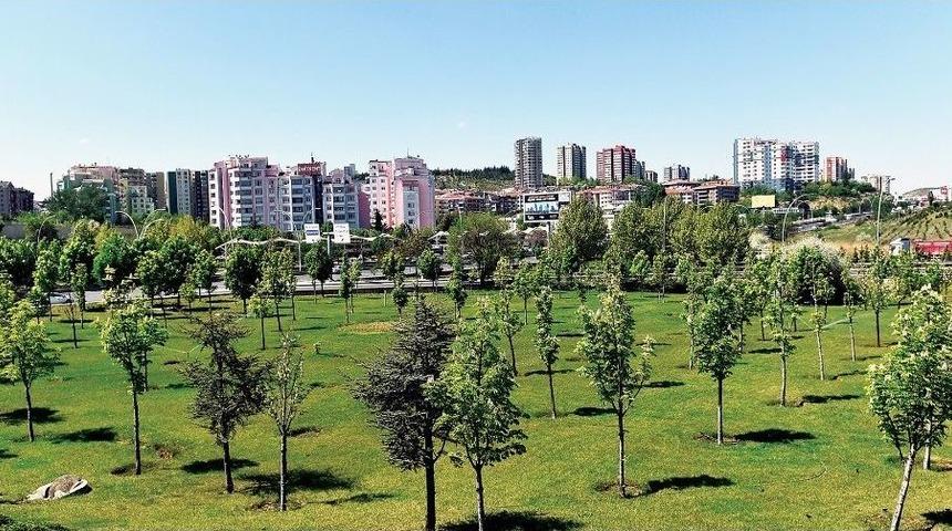 Başkent’te 150 Bin Ağaç Toprakla Buluşacak