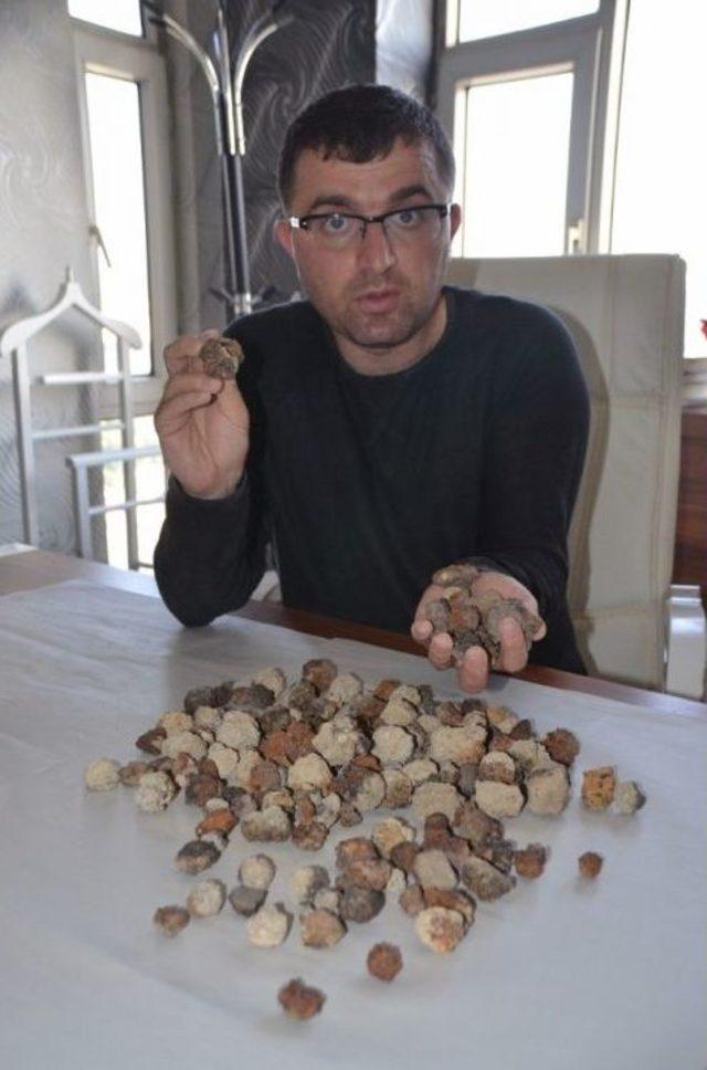 Gercüş’te Tarlada Bulunan Metallerin Sırrı Çözüldü 1