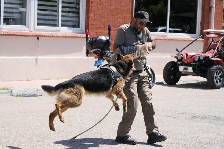 Engelli Çocukların Toma Keyfi G1