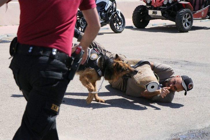 Engelli Çocukların Toma Keyfi G2