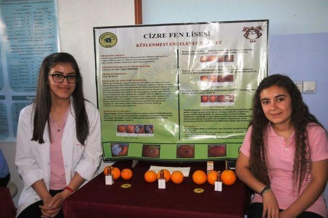 Cizre Fen Lisesinin ‘bilim Fuarı’ İlgi Gördü