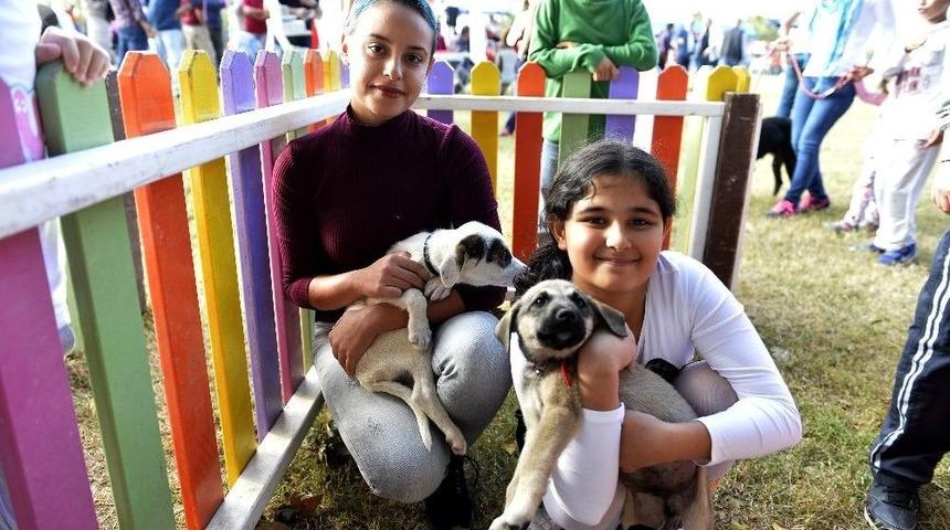 Muratpaşa Belediyesi&rsquo;nden Sokak Hayvanları Festivali