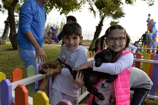 Muratpaşa Belediyesi&rsquo;nden Sokak Hayvanları Festivali 1