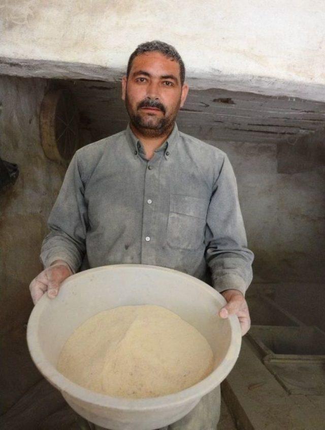 (özel Haber) Öğütülen Orkide Kökleri Türkiye’nin Tek Su Değirmeninde Salebe Dönüştürülüyor