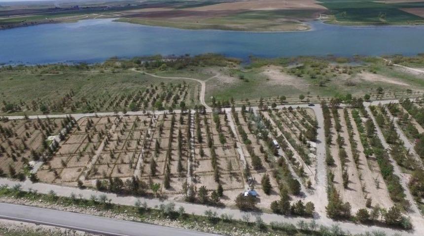 Cihanbeyli&rsquo;ye Hobi Bah&ccedil;eleri Oluşturuldu