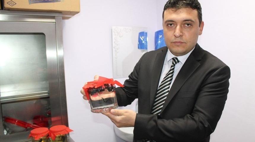 Niğde&rsquo;de Hacamat Ve S&uuml;l&uuml;k Tedavisine Başlandı