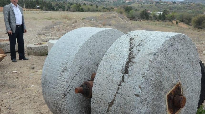 Sarıcakaya Zeytini En D&uuml;ş&uuml;k Asit Oranına Sahip