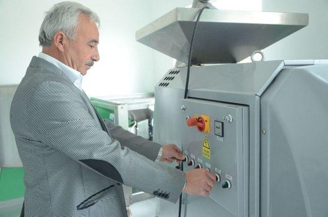 Sarıcakaya Zeytini En D&uuml;ş&uuml;k Asit Oranına Sahip 1