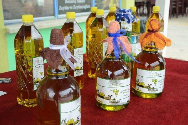 Sarıcakaya Zeytini En D&uuml;ş&uuml;k Asit Oranına Sahip 2