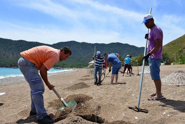 Adrasan Sahili Yaz Sezonuna Hazır