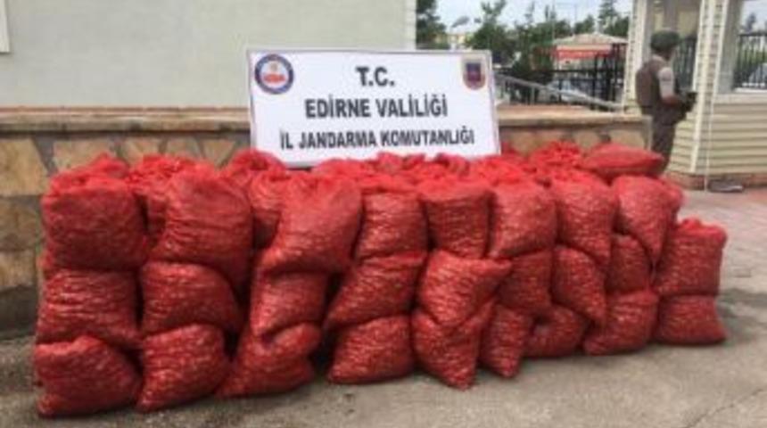 Edirne&rsquo;De 1.6 Ton Ka&ccedil;ak Midye Ele Ge&ccedil;irildi