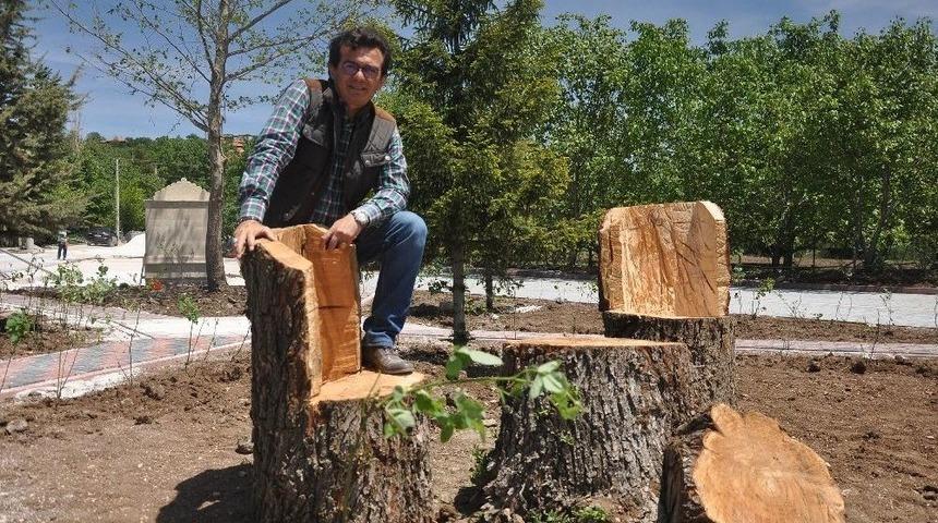 Tayyip Erdoğan Meydanına Bin 453 G&uuml;l Fidanı Dikilecek