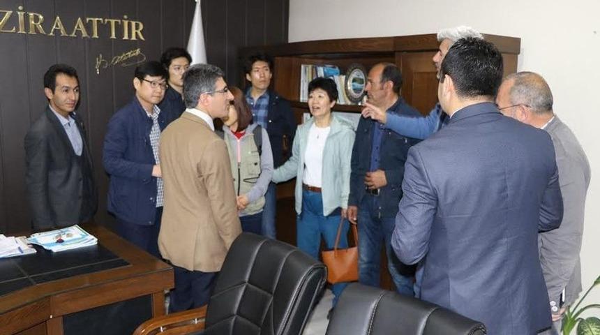 Ağrı Buğdayı 8 Yıldır Güney Kore Sofralarında