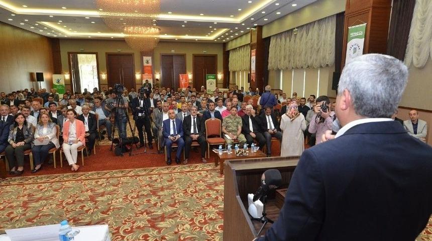 &rsquo;farklı Boyutlarıyla İ&ccedil; G&ouml;&ccedil; &Ccedil;alıştayı&rsquo;nda