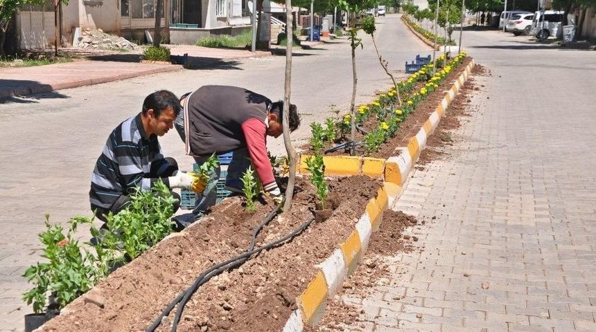 Yazlık &Ccedil;i&ccedil;ek Dikimi Devam Ediyor