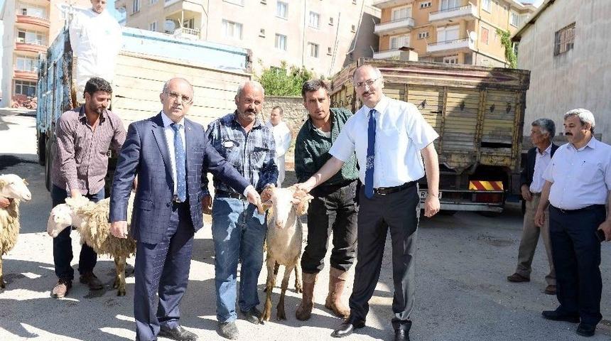 İhtiya&ccedil; Sahipleri Hayvancılıkla Kalkınacak