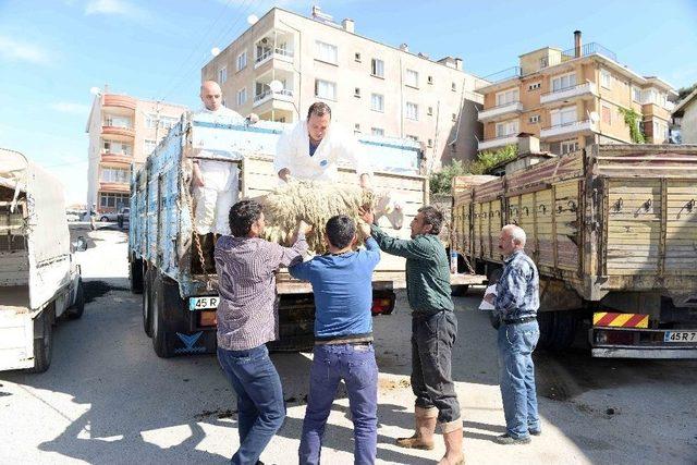 İhtiya&ccedil; Sahipleri Hayvancılıkla Kalkınacak 1