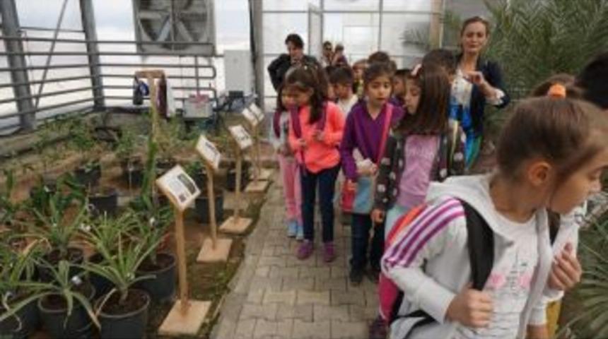 &Ouml;ğrenciler Projeleri Yerinde G&ouml;rd&uuml;