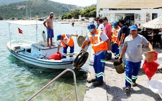 Torba Koyu nda Deniz Dibi Temizliği 1