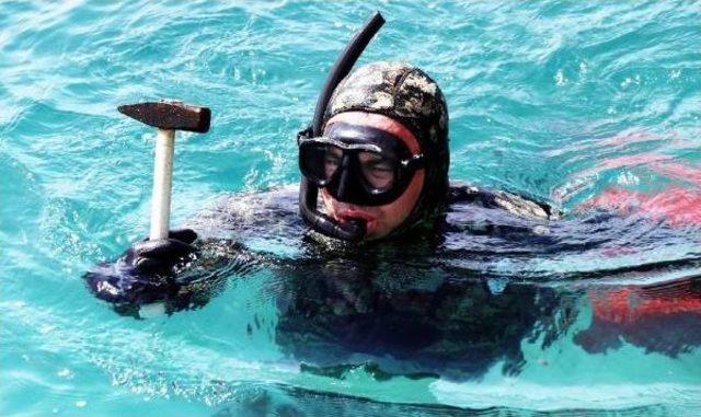 Torba Koyu nda Deniz Dibi Temizliği 2