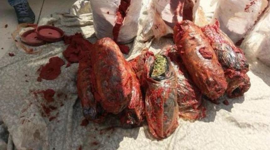 Salça Bidonlarında Esrar Sevkıyatı