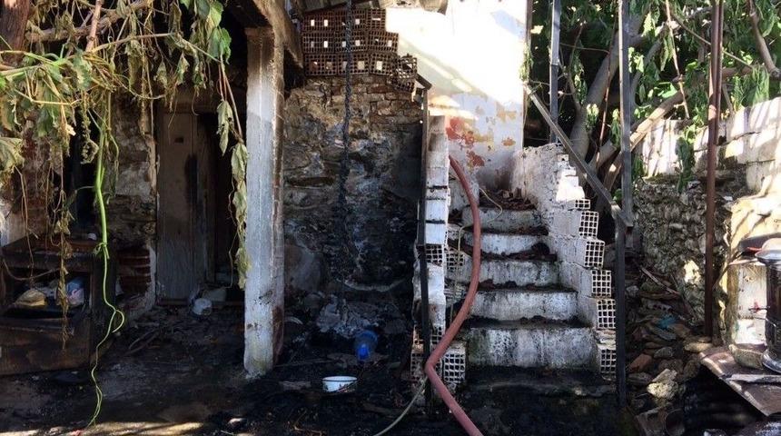 Faciadan Kıl Payı Kurtuldular