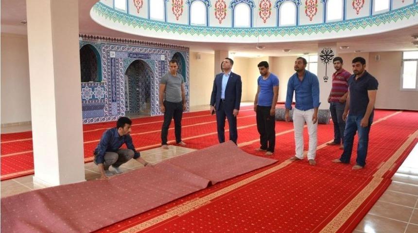 K&uuml;lt&uuml;r Evlerinde Son &Ccedil;alışmalar