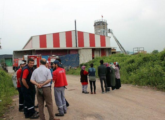 Ahşap Fabrikasında Çıkan Yangın Korkuttu