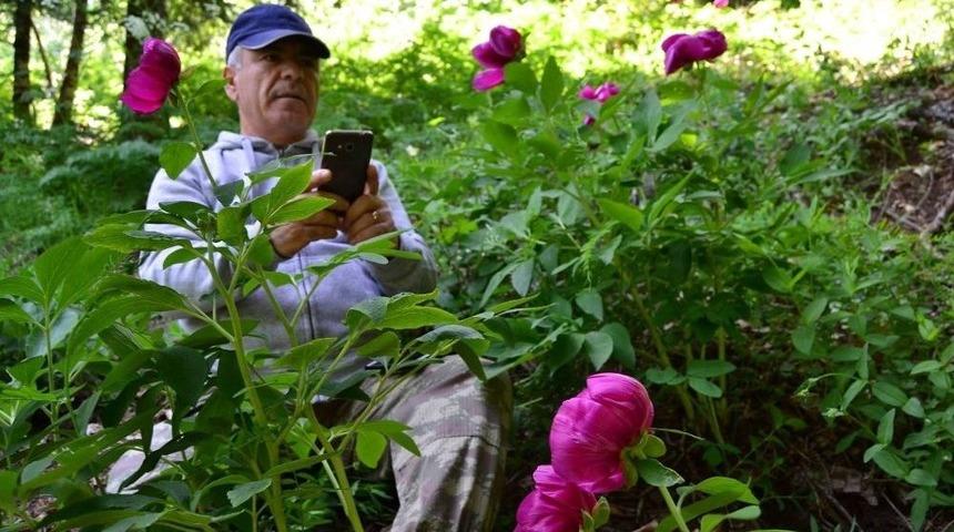 Kazdağları, 3 G&uuml;nl&uuml;k Tatilde Fotoğraf&ccedil;ıların &Ccedil;ekim Merkezi Olacak