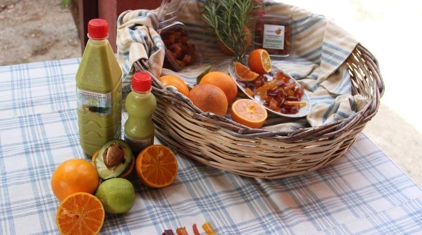 (&ouml;zel Haber) Mersin&rsquo;den D&uuml;nyaya İki Yeni Tat: Avoport Ve Narentat