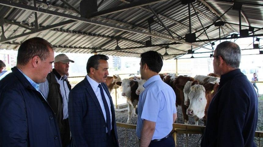 Seydişehir&rsquo;de Tarımsal Kalkınma Kooperatifi &Uuml;yelerine D&uuml;ve Dağıtımı