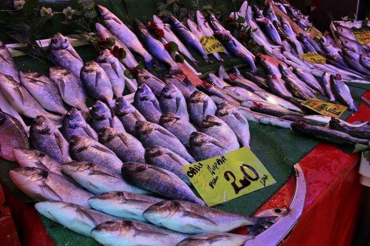 Balık Fiyatları Cep Yakıyor G3