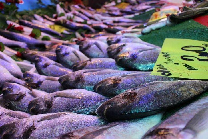 Balık Fiyatları Cep Yakıyor G4