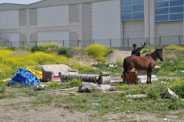 İnegöl’de Çadır Operasyonu