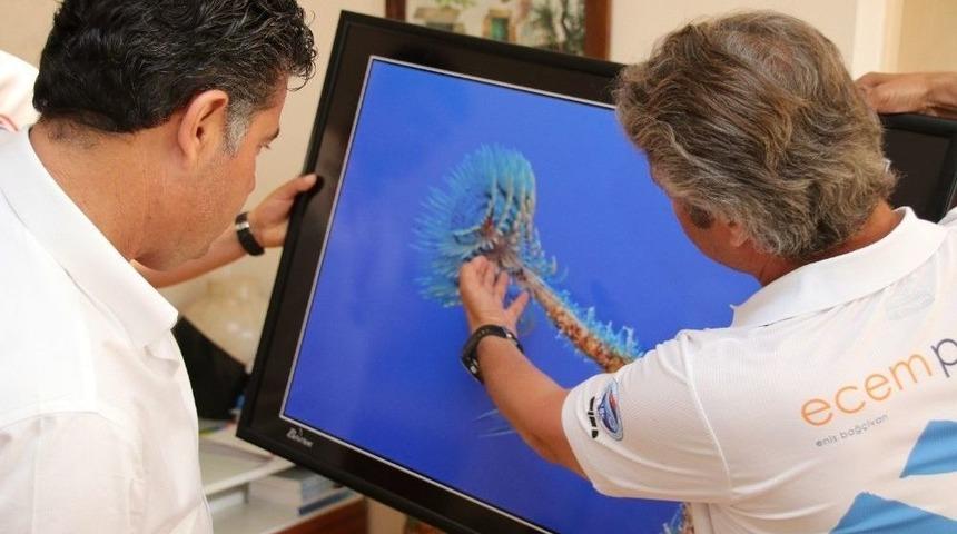 Bodrum Su Sporları Kul&uuml;b&uuml; Başarılarını Başkan Kocadon İle Paylaştı