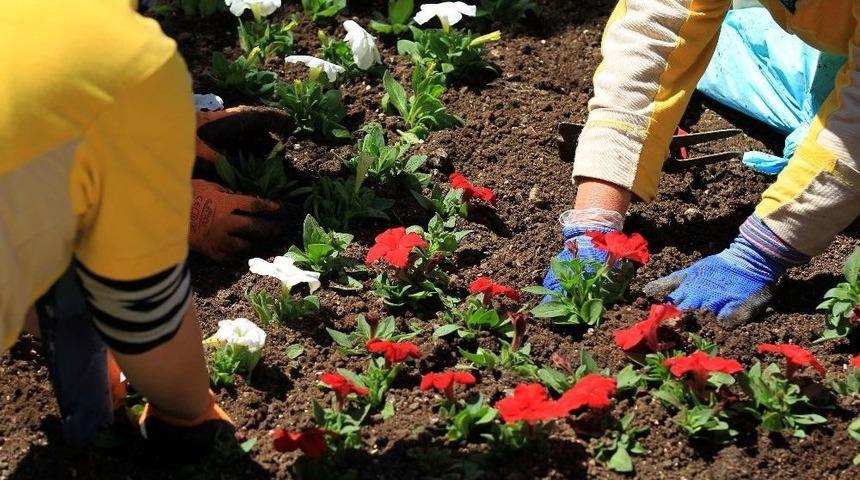 &Ccedil;ankaya&rsquo;da Hedef 1 Milyon &Ccedil;i&ccedil;ek