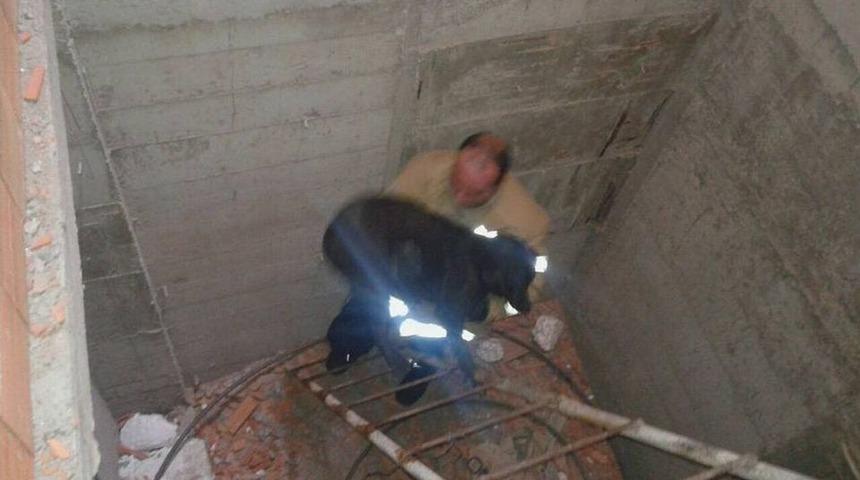 Asans&ouml;r Boşluğuna D&uuml;şen K&ouml;peği İtfaiye Kurtardı