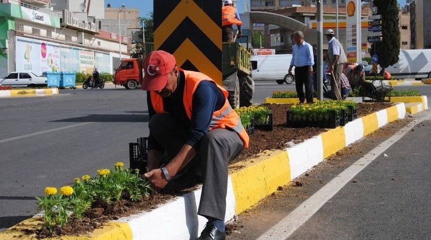Şanlıurfa &Ccedil;i&ccedil;eklerle Donatılıyor