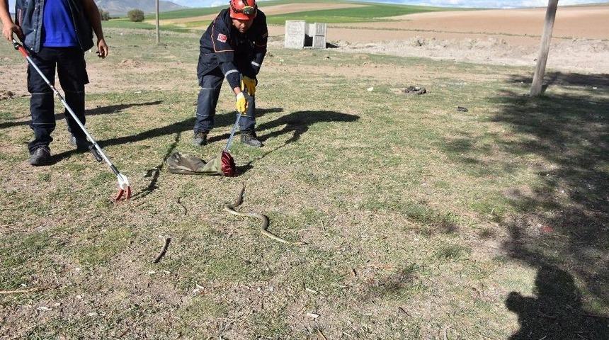 Aksaray&rsquo;da M&uuml;stakil Bir Evin M&uuml;ştemilatına Giren Yılan Paniğe Neden Oldu