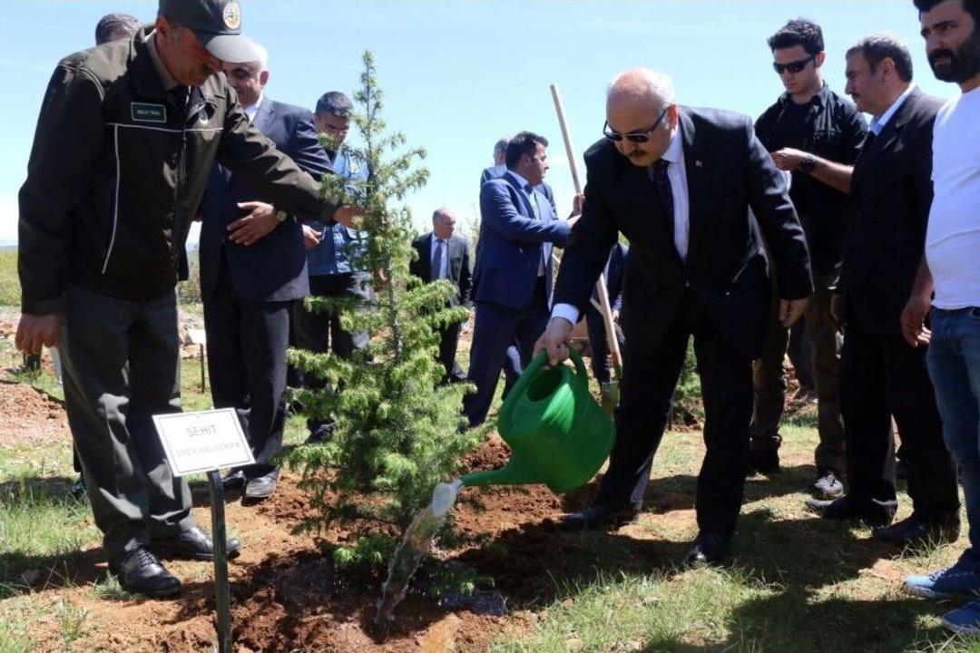 Bing&ouml;l&rsquo;de &rsquo;15 Temmuz Demokrasi Şehitleri Hatıra Ormanı&rsquo; Oluşturuldu