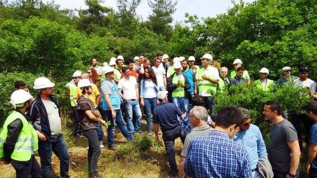 Meşe T&uuml;rlerinin Tespiti Ve Planlanması Eğitimi 1
