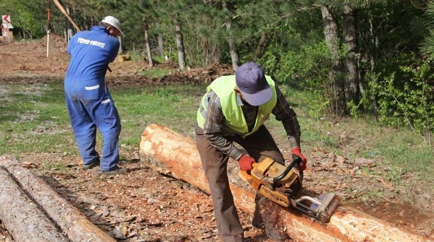 Yaptıkları Aparatla Ormanların Bakım Ve Gen&ccedil;leştirme &Ccedil;alışmalarını Hızlandırdılar