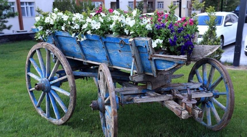 Talas Belediyesi İl&ccedil;eye 50 Adet &Ccedil;i&ccedil;ek Dikiyor