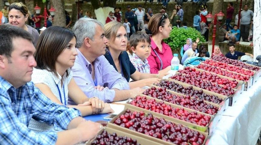 Kemalpaşa&rsquo;da 46. Altın Kiraz Festivali