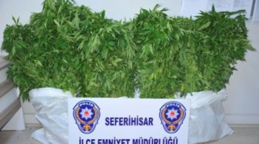 Seferihisar Emniyetinden Zehir Tacirlerine Operasyon: 3 G&ouml;zaltı
