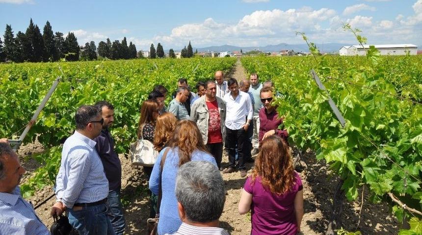 &Uuml;z&uuml;m Rekoltesinde Komisyon &Ccedil;alışmaları Başladı