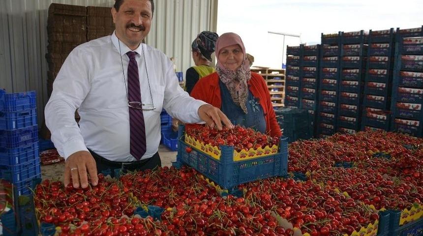 Demirci Belediyesinden Kiraz Pazarına Tam Not