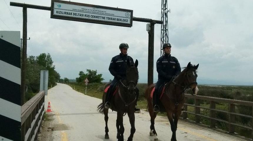 Atlı Tim G&ouml;rev Başında