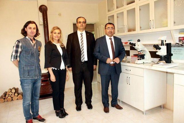 Gal Arısı İle M&uuml;cadele Yalova&rsquo;dan Başladı 1